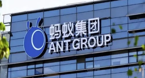 螞蟻集團(tuán)旗下數(shù)字螞力科技增資至1億，軟件外包服務(wù)能力再獲提升